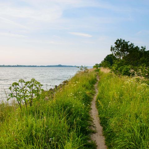 Schlei Wanderweg Büstorf