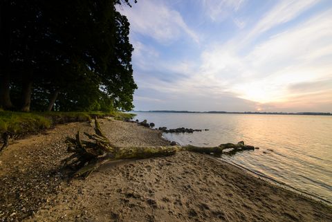 Büstorf an der Schlei