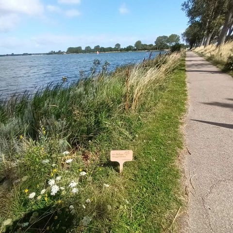 Schild der Kampagne Du.Hier.Wir zwischen Schleiufer und Radweg