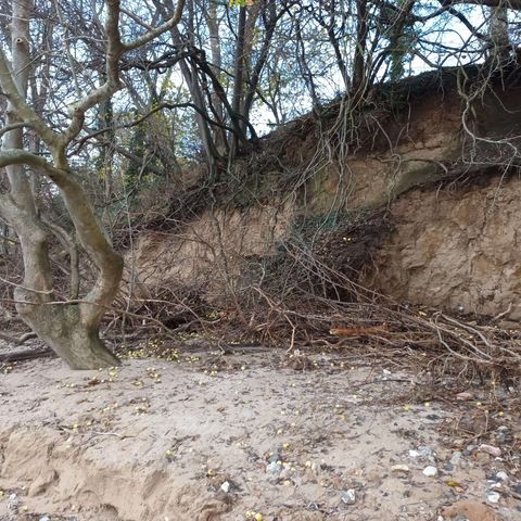 Abbruch Steilküste Rabelsund nach Sturmflut Oktober 2023