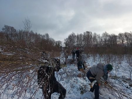 Entkusselungsaktion im Esprehmer Moor Januar 2024