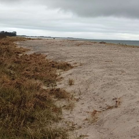 Veränderung durch Überspülung am Strandbereich von Maasholm nach Sturmflut Oktober 2023 