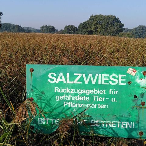 Salzwiesen Schild Schlei Fleckeby