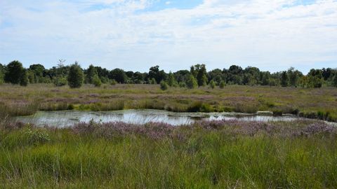 Torfstich im Esprehmer Moor